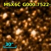 2MASS J17550517-2917382