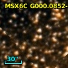 2MASS J17504260-2930220