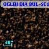 OGLEII DIA BUL-SC19   4649