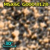 2MASS J17575991-2935301