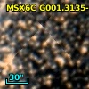 2MASS J17580374-2901175
