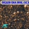 OGLEII DIA BUL-SC37    857