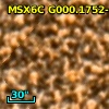 2MASS J17552083-2959428