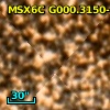 2MASS J17553635-2951565