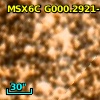 2MASS J17551326-2950367