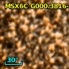 2MASS J17554835-2948516