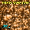 2MASS J17551819-2943586