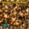 2MASS J17560170-2942256