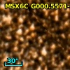 2MASS J17554216-2935542