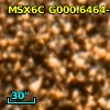 2MASS J17552984-2928069