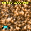 2MASS J17552879-2926284