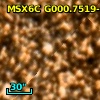 2MASS J17553972-2922023