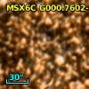 2MASS J17554150-2921392
