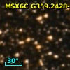 2MASS J17490989-3017159