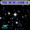TYC 3628-2186-1