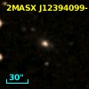 2MASX J12394099-1353085
