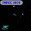 2MFGC 1029