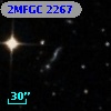 2MFGC 2267