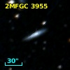 2MFGC 3955