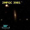 2MFGC 3981