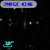 2MFGC 4246