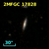 2MFGC 17828
