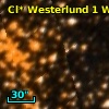 Cl* Westerlund    1      W       1