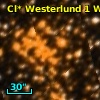 Cl* Westerlund    1      W      38