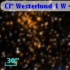 Cl* Westerlund    1      W      47