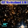 Cl* Westerlund    1      W      59