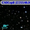 CXOCepB J225540.99+624625.9