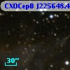 CXOCepB J225648.43+624123.0