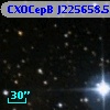 CXOCepB J225658.56+624434.8