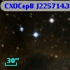 CXOCepB J225714.34+624135.7