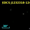 EDCS J1232318-1249049