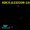 EDCS J1232339-1249205