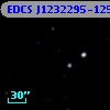 EDCS J1232295-1253281