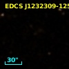 EDCS J1232309-1250431
