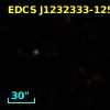 EDCS J1232333-1250121