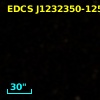 EDCS J1232350-1251257
