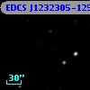 EDCS J1232305-1253111