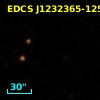 EDCS J1232365-1253082