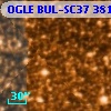 OGLE BUL-SC37 381991
