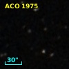 ACO  1975