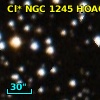 Cl* NGC 1245   HOAG      39