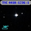 TYC 4410-1236-1