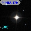 ** MLR   170