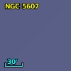 NGC  5607