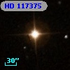 HD 117375