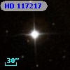 HD 117217